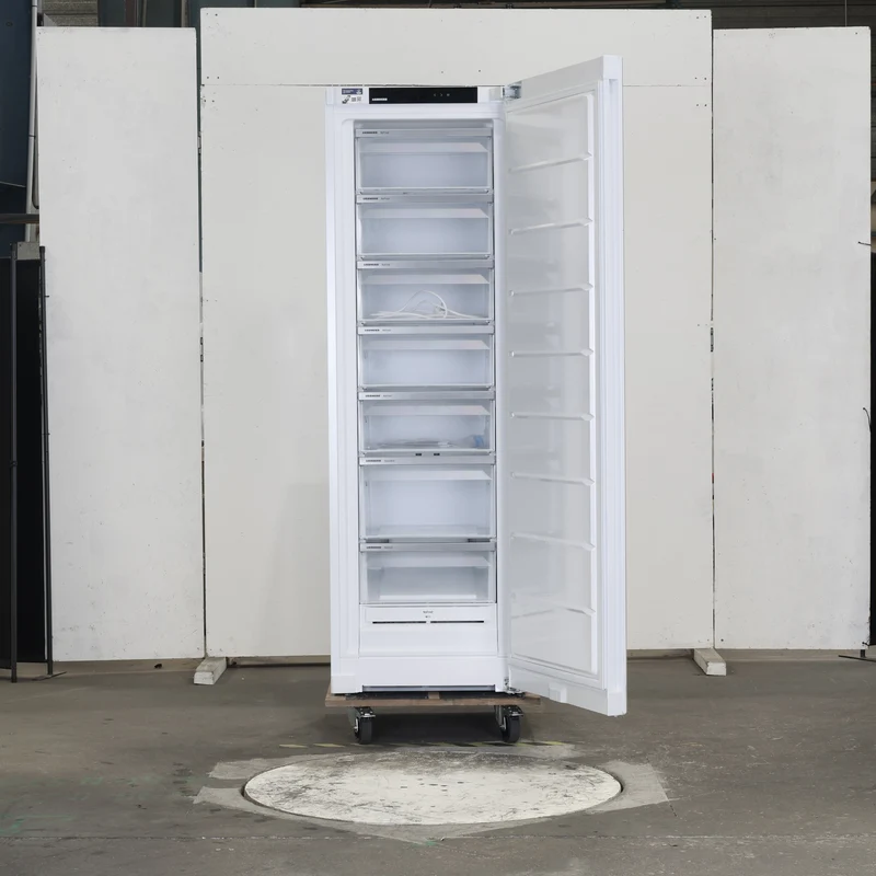 Congélateur Armoire 278 Litres Reconditionné LIEBHERR FNe5207-22