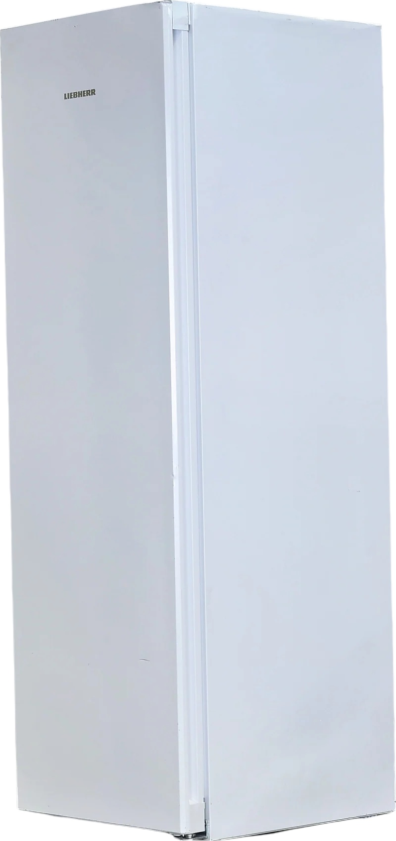 Congélateur Armoire 278 Litres Reconditionné LIEBHERR FNe5207-22