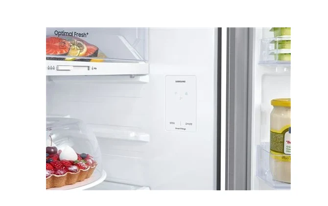 Réfrigérateur congélateur en haut Samsung RT31CG5624S9