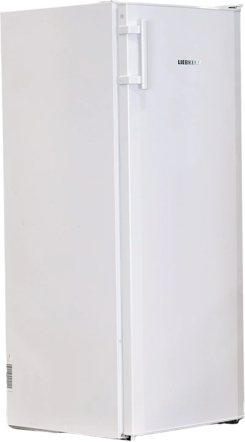 Réfrigérateur Avec Congélateur 251 Litres LIEBHERR KPe290-26