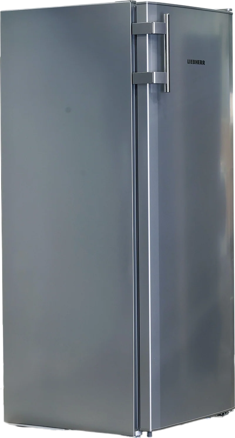 Réfrigérateur Avec Congélateur 251 Litres Reconditionné LIEBHERR KPsle290-26