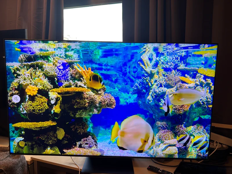 Téléviseur Neo QLED 64 pouces Reconditionné SAMSUNG QE65QN800A