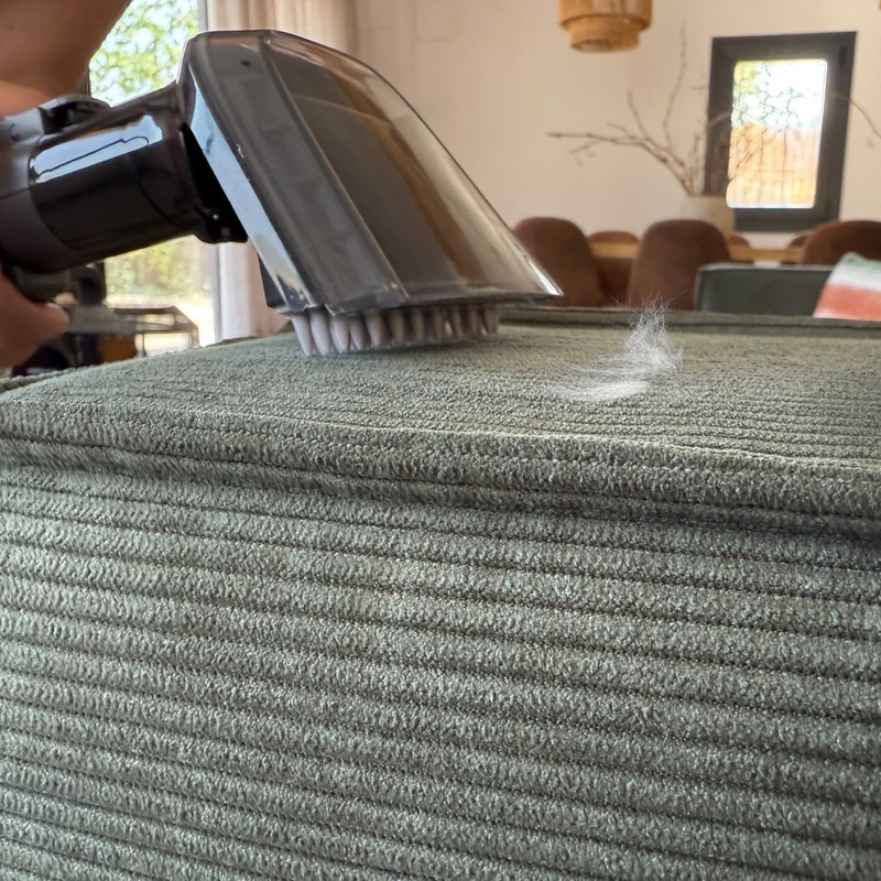 Cleany Carpet 600 - FP