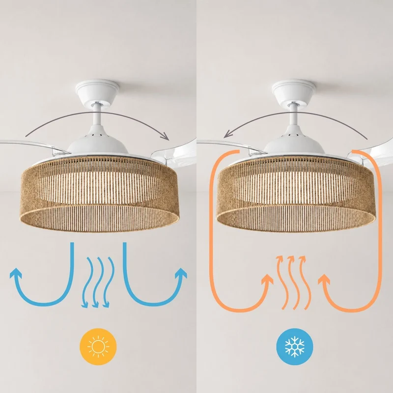 Brizy Bright Rattan