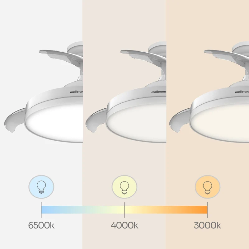 Brizy Bright Foldable