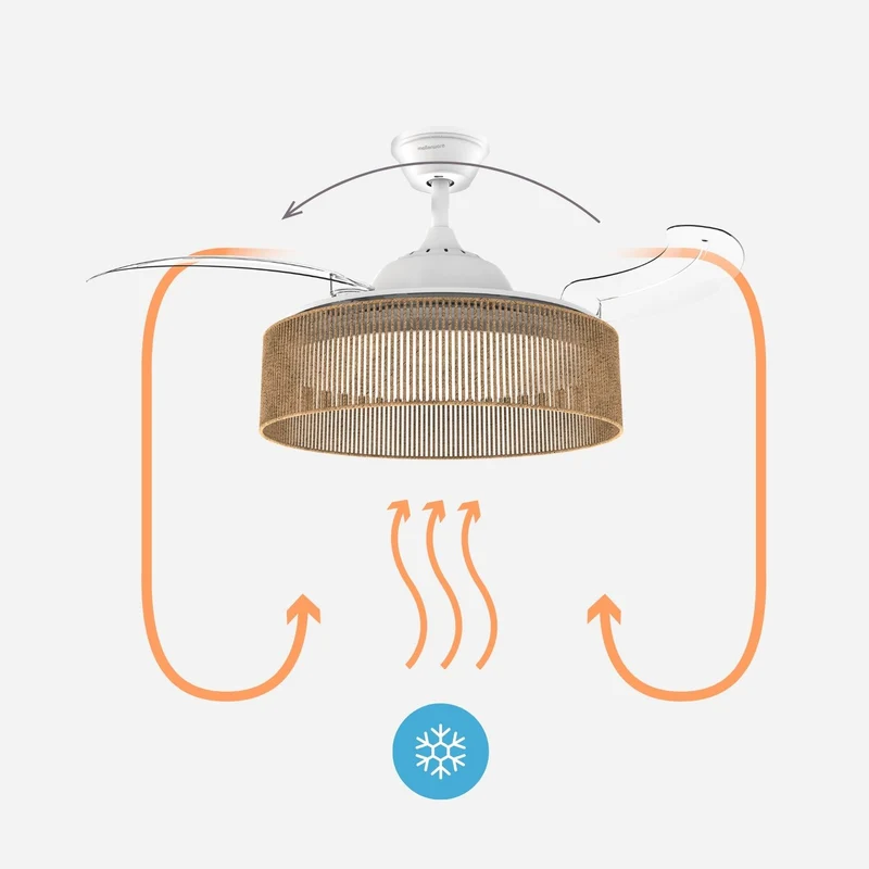 Brizy Bright Rattan - FP
