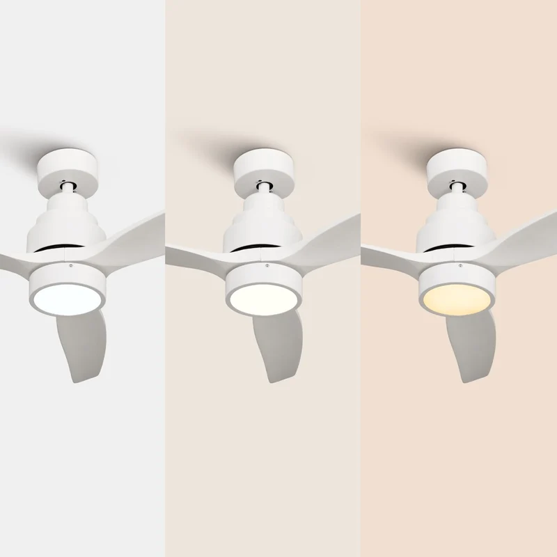 Brizy Bright White - FP