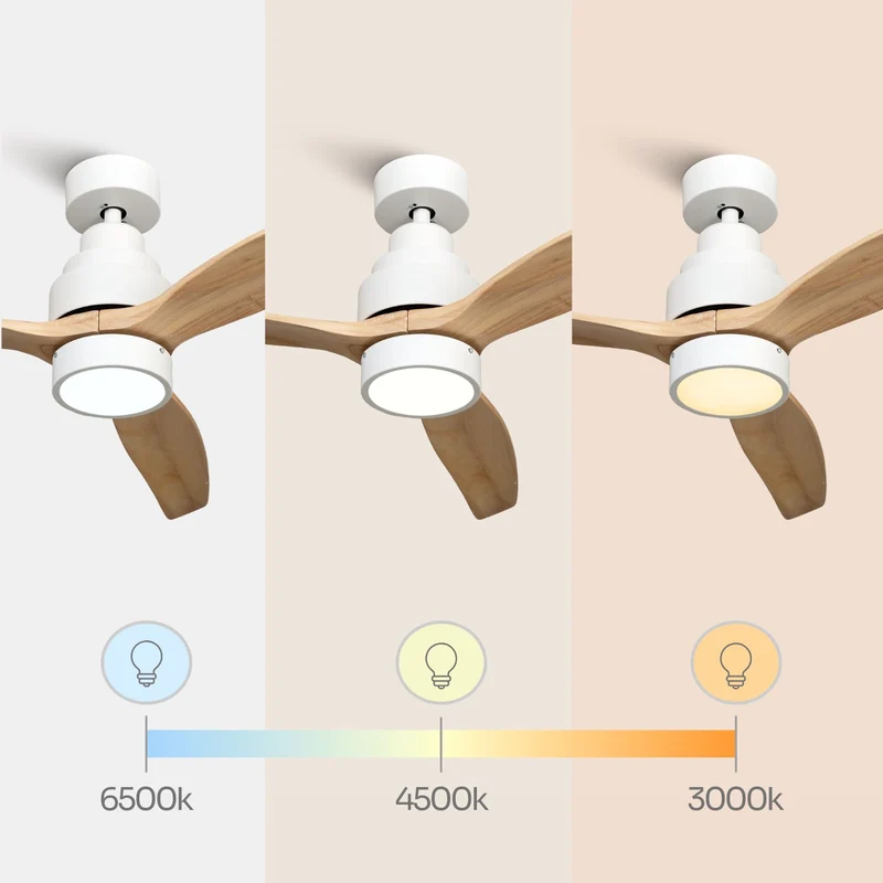 Brizy Bright Light Wood