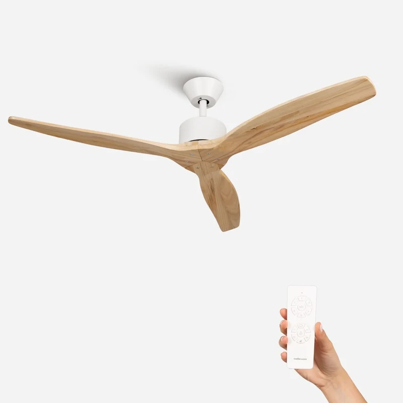 Brizy Light Wood - FP