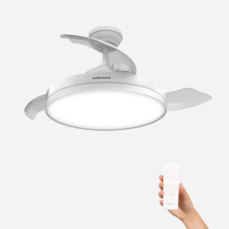 Brizy Bright Foldable - FP
