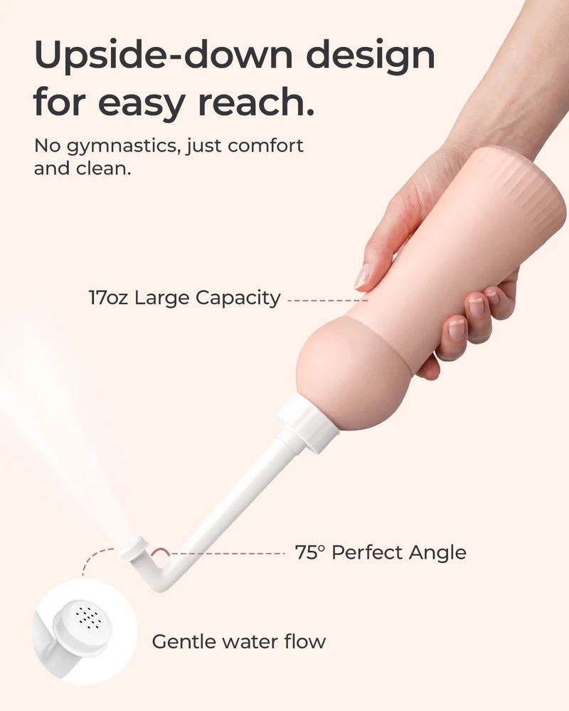 BirthEase Pregnancy Ball & Postpartum Recovery Essentials Kit