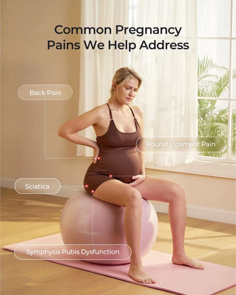 Maternity Pillow & BirthEase Maternity Ball Bundle