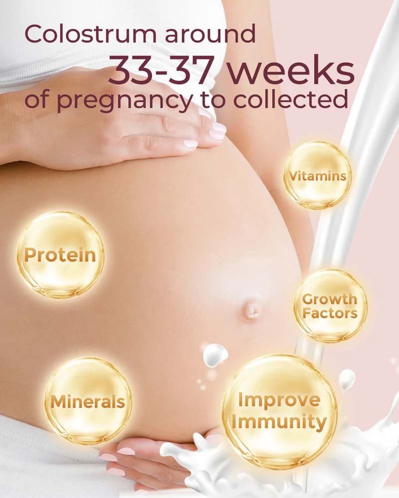 Professional Breastfeeding Bundle: Lactation Massager & Colostrum Milk Collector