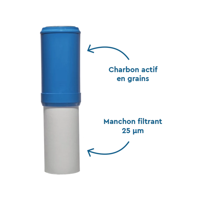 BWT Cartouche B.CARBON – Filtration anti‑goûts, odeurs et impuretés