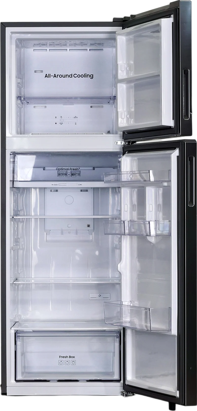 Réfrigérateur Avec Congélateur 305 Litres Reconditionné SAMSUNG RT31CG5624S9