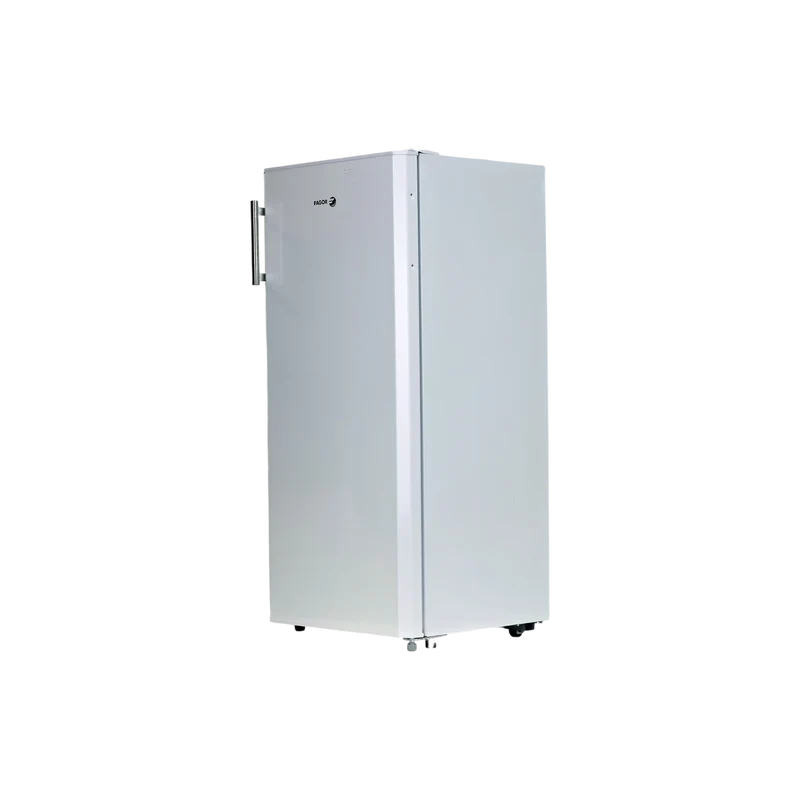 Réfrigérateur Avec Congélateur 164 L Reconditionné FAGOR FSP170EW