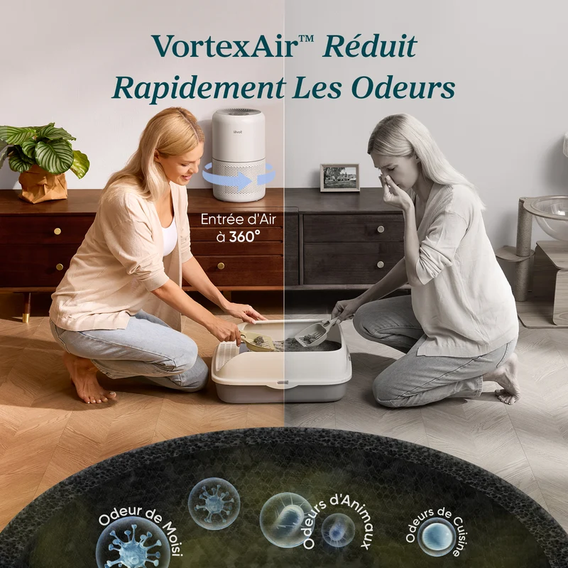 Levoit purificateur d'air Core 300