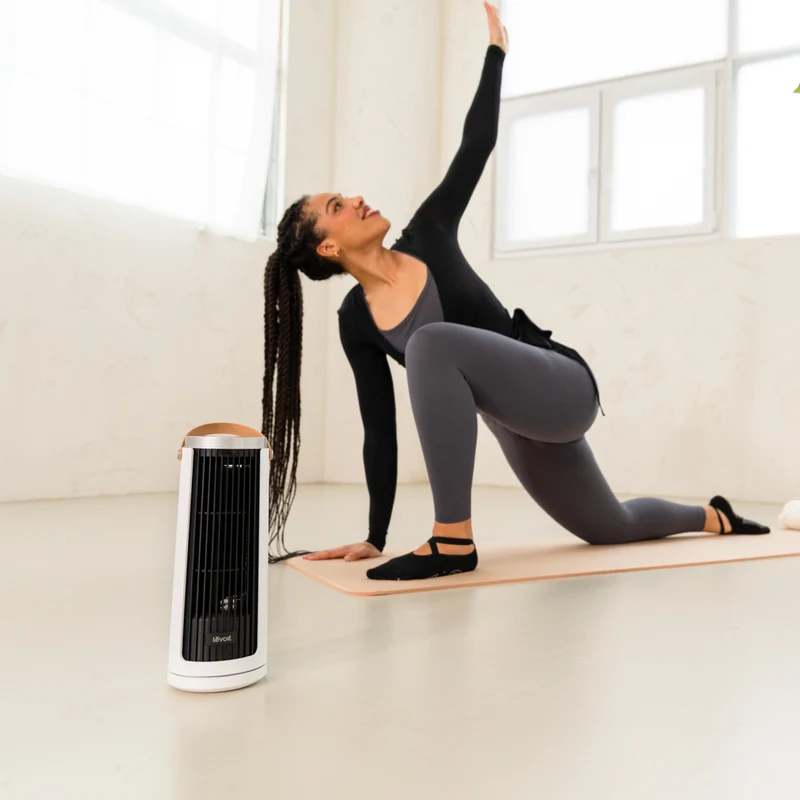 Levoit Windi Mini – Le Petit Ventilateur Silencieux