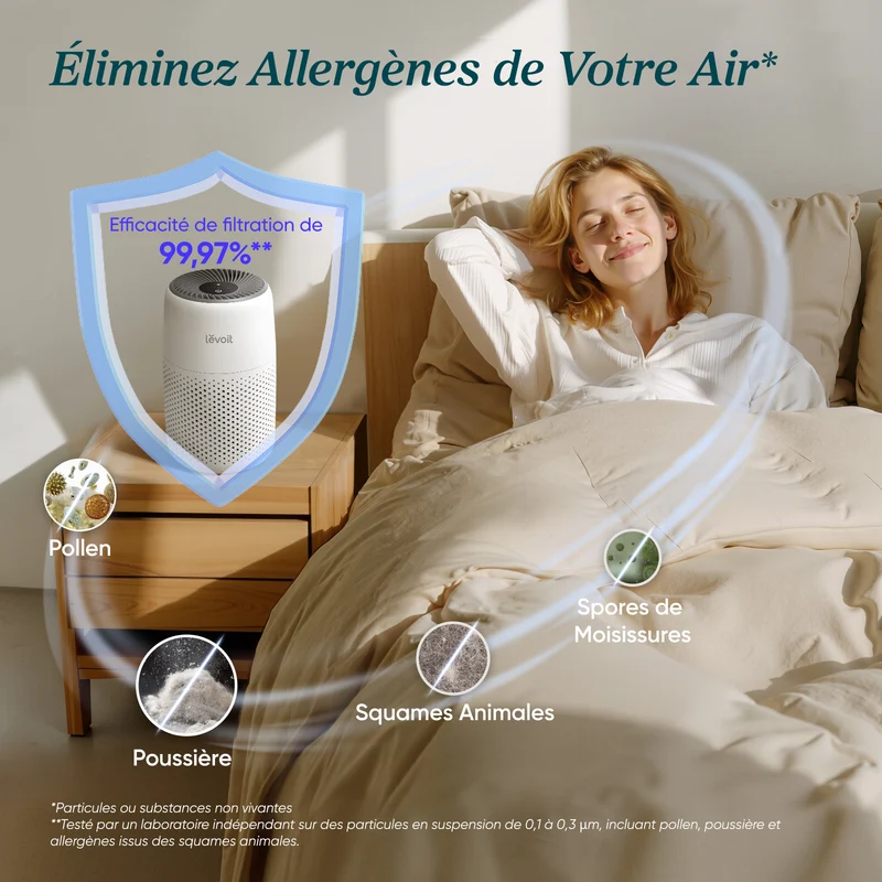 Levoit purificateur d'air Core Mini
