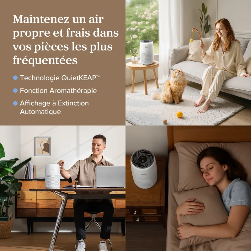 Levoit purificateur d'air Core Mini