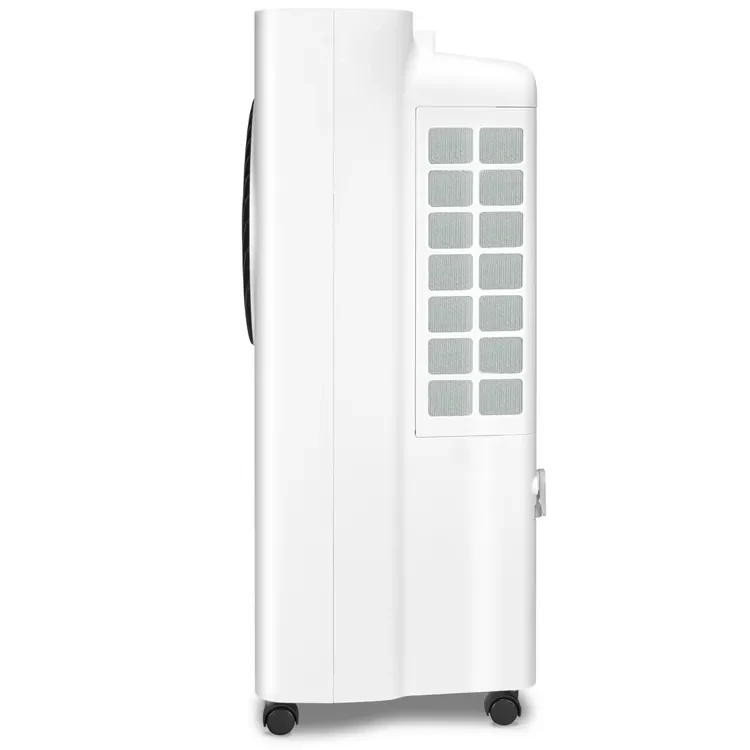 Rafraîchisseur d'air-humidificateur PAE 31