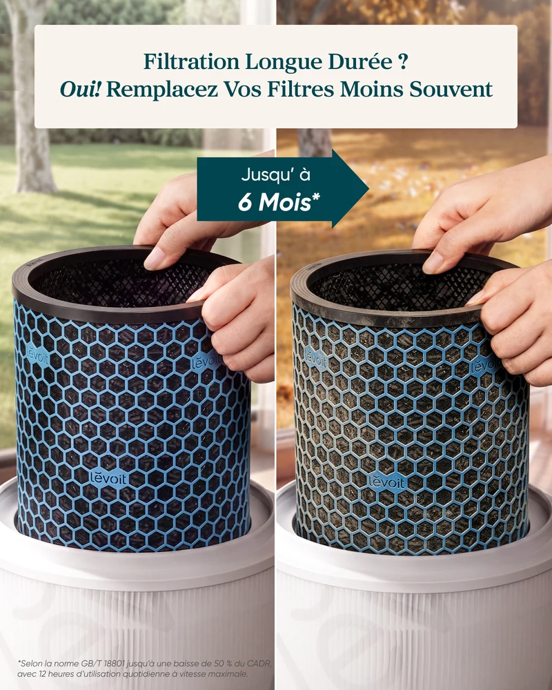 Levoit Filtre Charbon Actif Eleva 300X – Essentiel