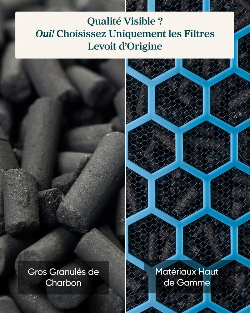 Levoit Filtre Charbon Actif Eleva 300X – Essentiel