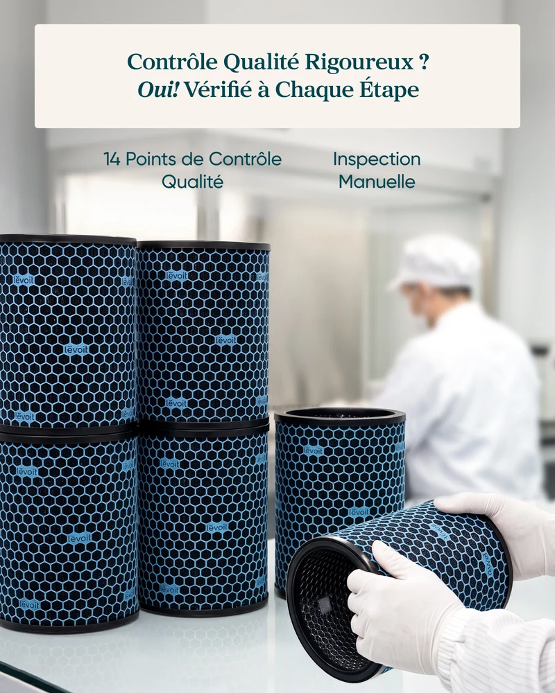 Levoit Filtre Charbon Actif Eleva 300X – Essentiel