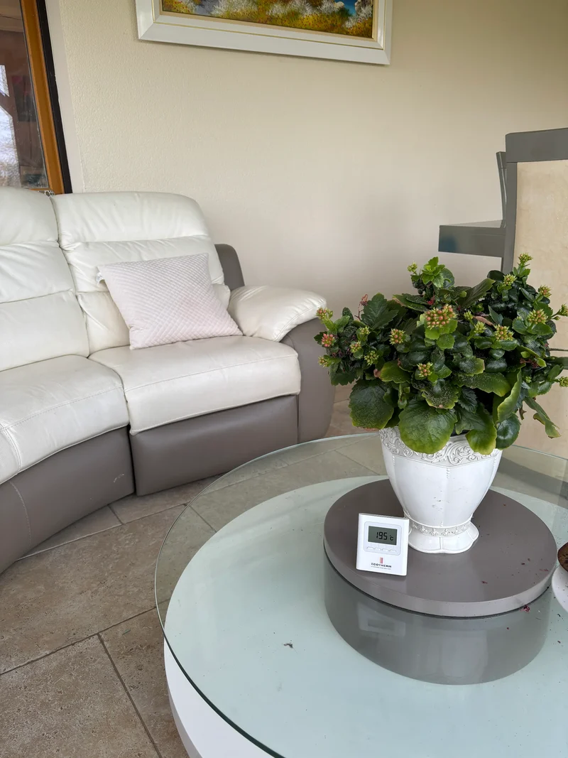 Thermostat d'Ambiance Simple Radio X3D — Pilotage Radiateurs Ecotherm
