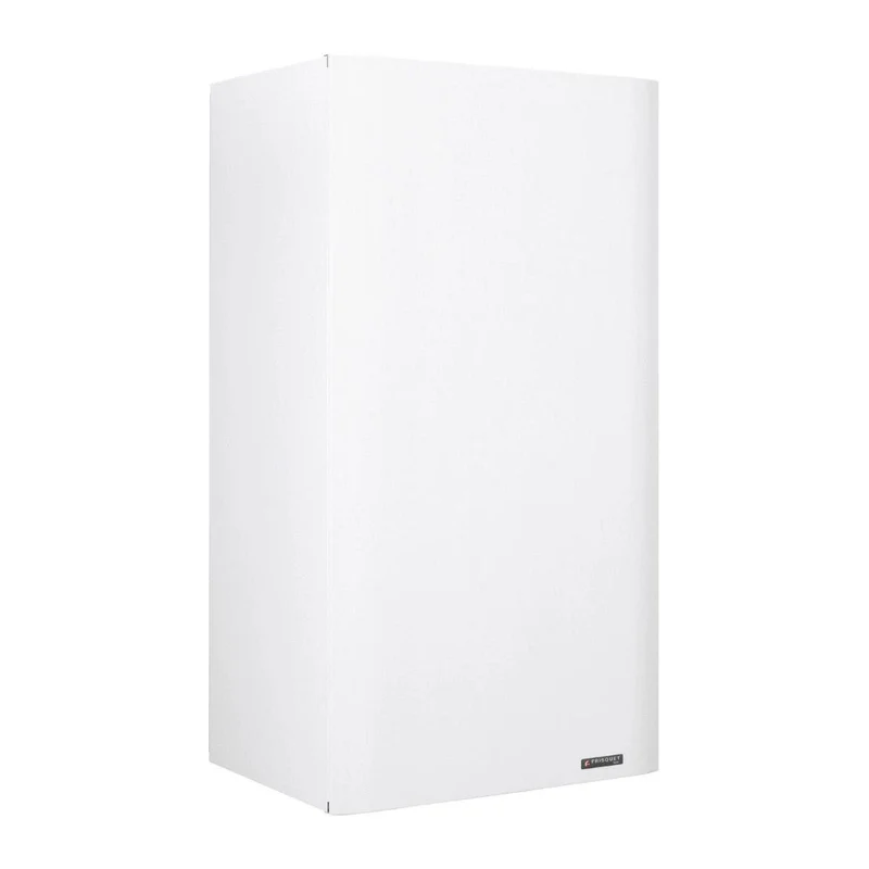 Ballon ECS Frisquet UPEC 80 litres inox mural vertical